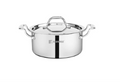 Bergner Argent Junior Chef Triply Stainless Steel Casserole with Stainless Steel Lid, Casserole, Durable Cookware, Mirror Finish, Induction Base and Gas Ready, Silver